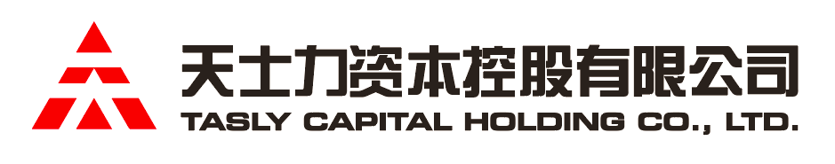 DG视讯资本控股有限公司